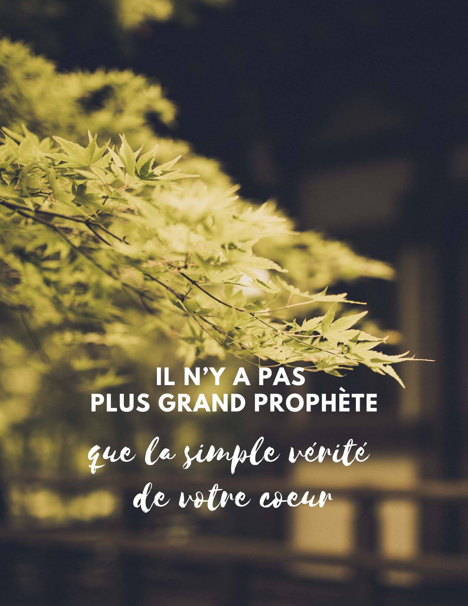 Canva28