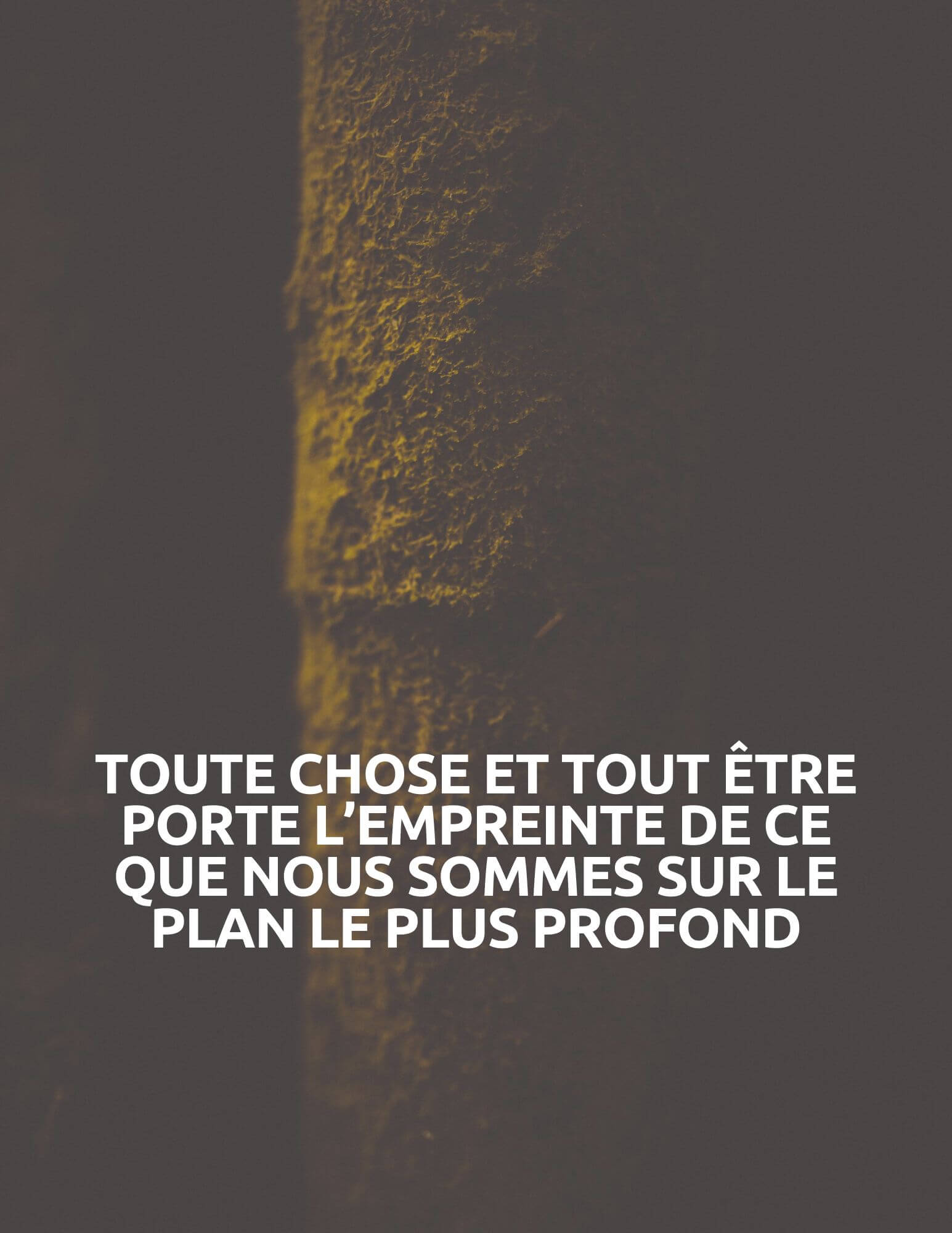 Canva31