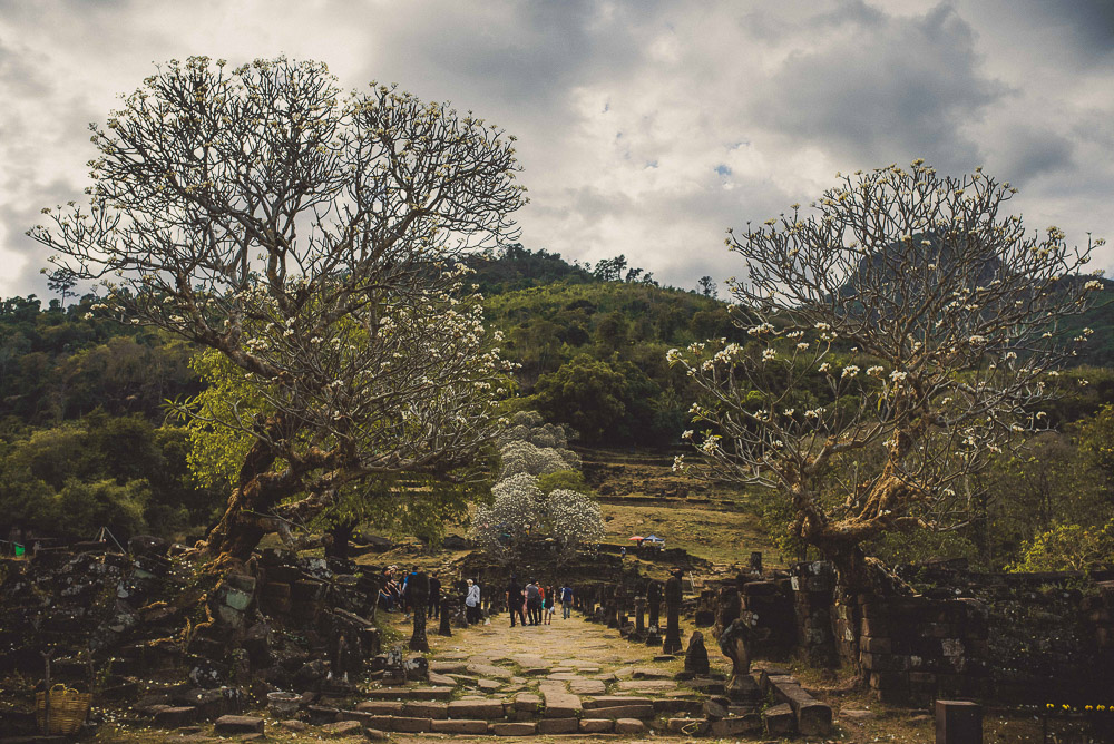 Champasak-020