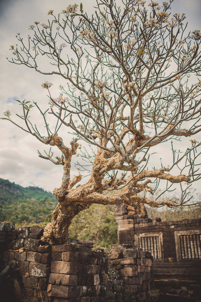 Champasak-021