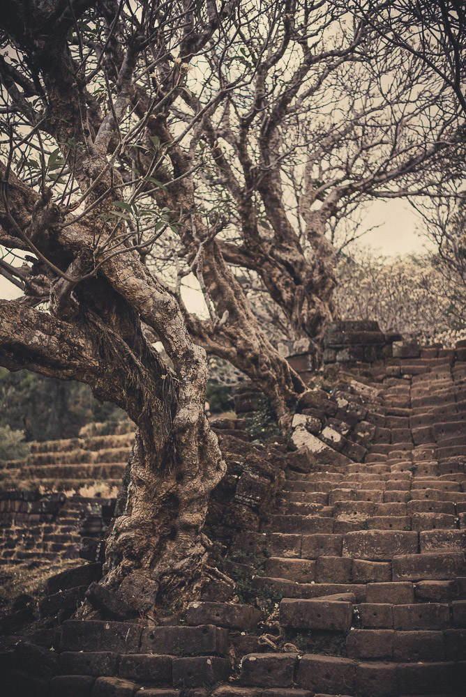 Champasak-026