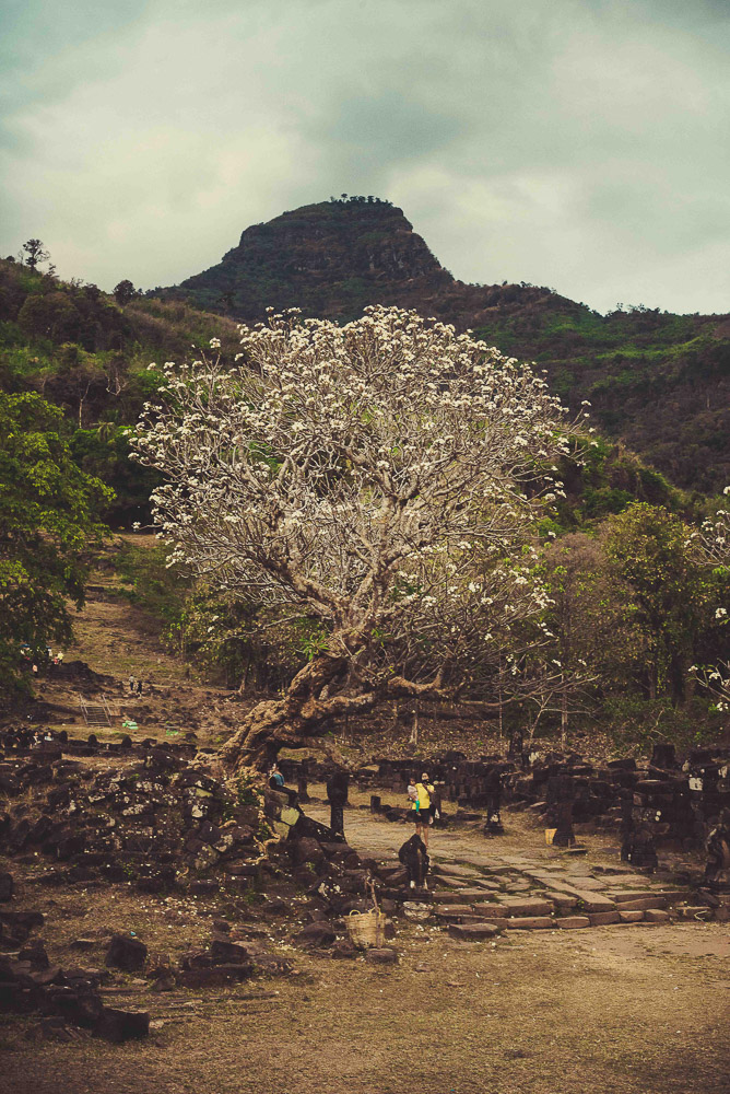 Champasak-038