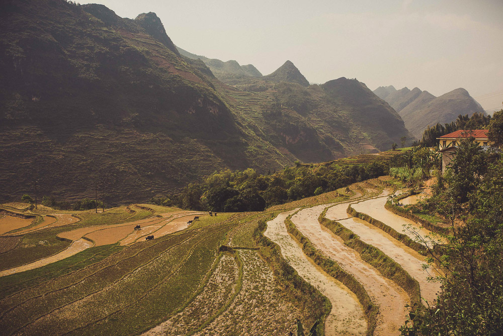 Ha Giang-037