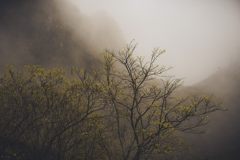 Ha Giang-044