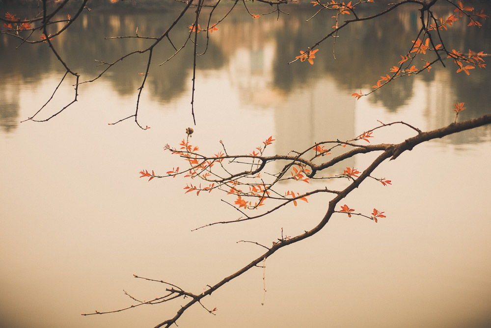 Hoan Kien-008