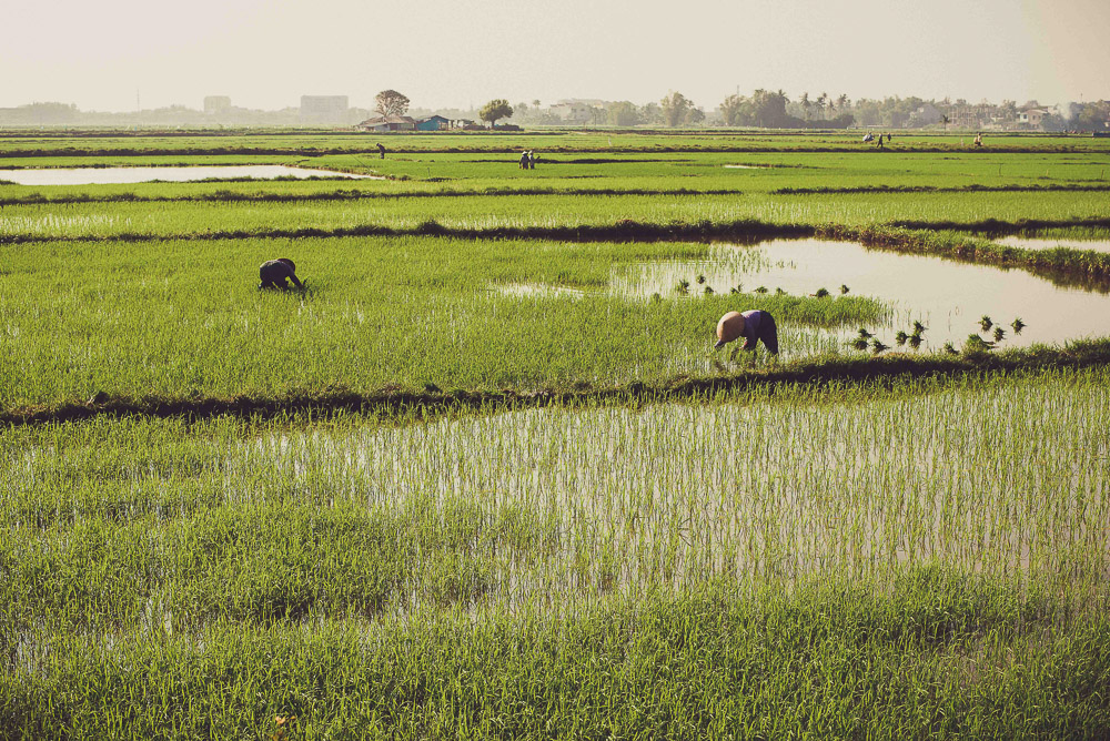 Hoï An-036
