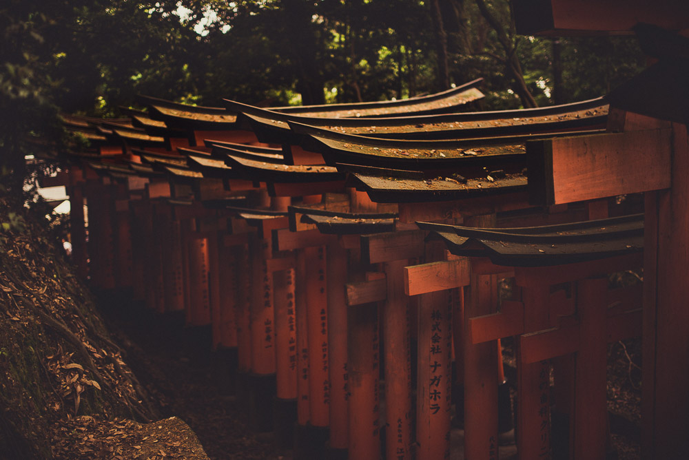 Inari-007