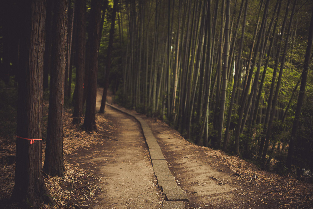 Inari-030
