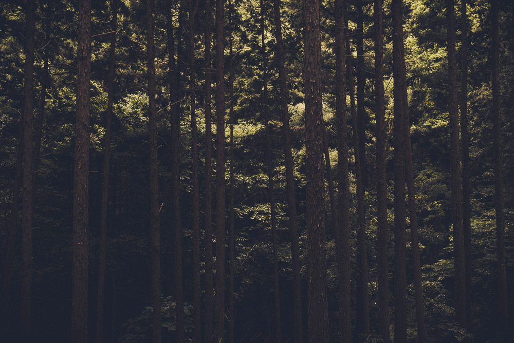 Inari-032