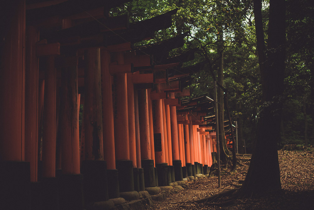 Inari-076