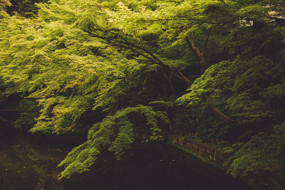 Kiyomizu-008