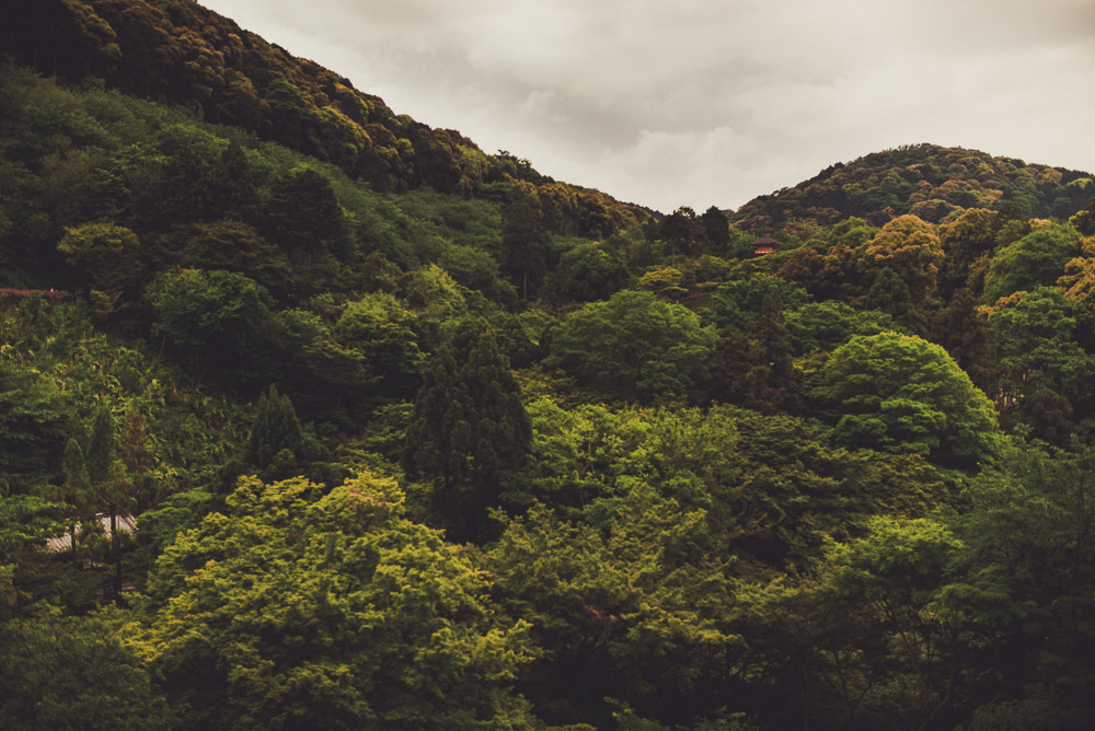 Kiyomizu-013