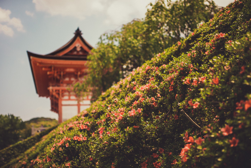 Kiyomizu-034