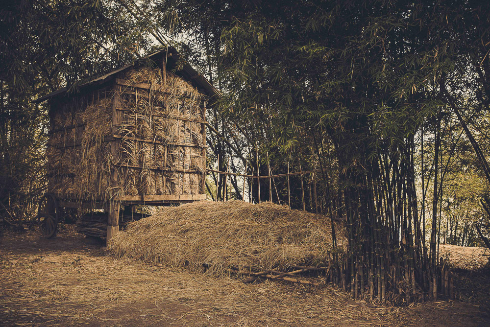 Kratie-013