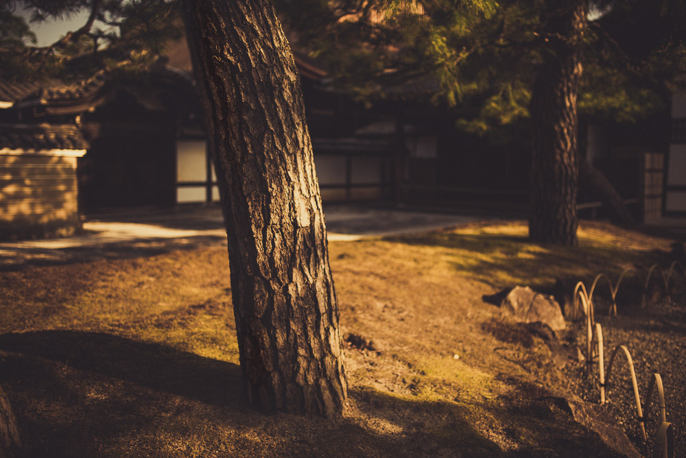 Kyoto-003