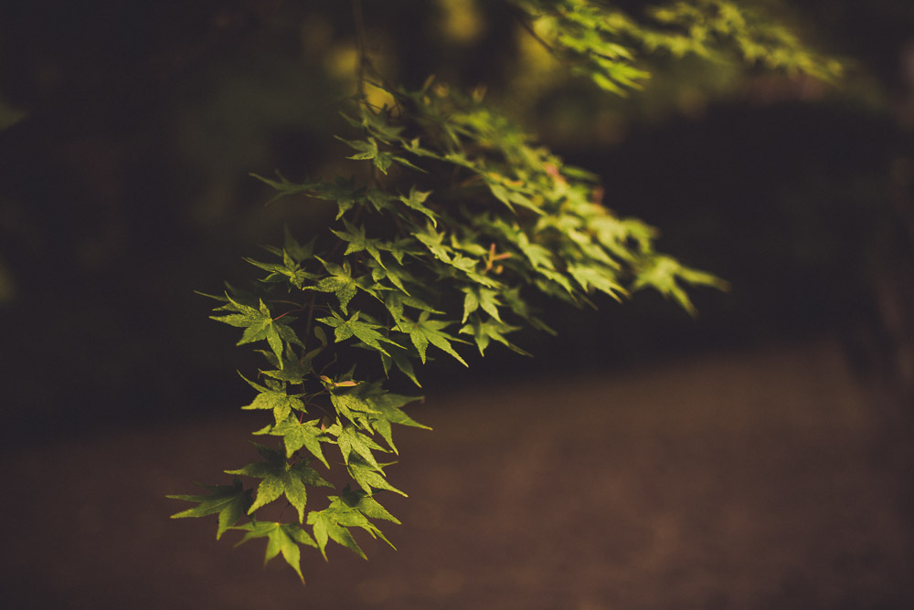 Kyoto-025