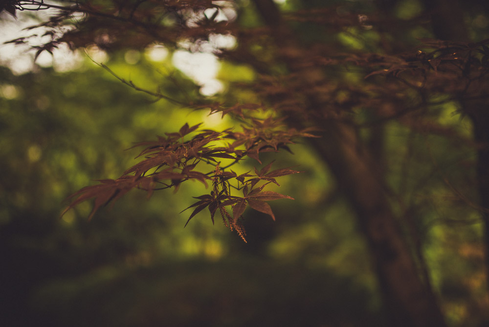 Kyoto-026
