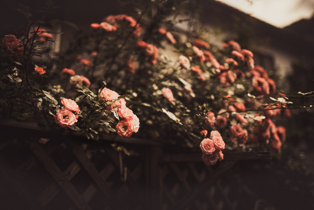 Kyoto-028