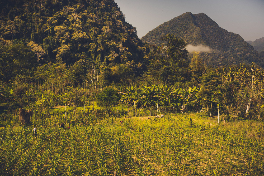 Muang-024