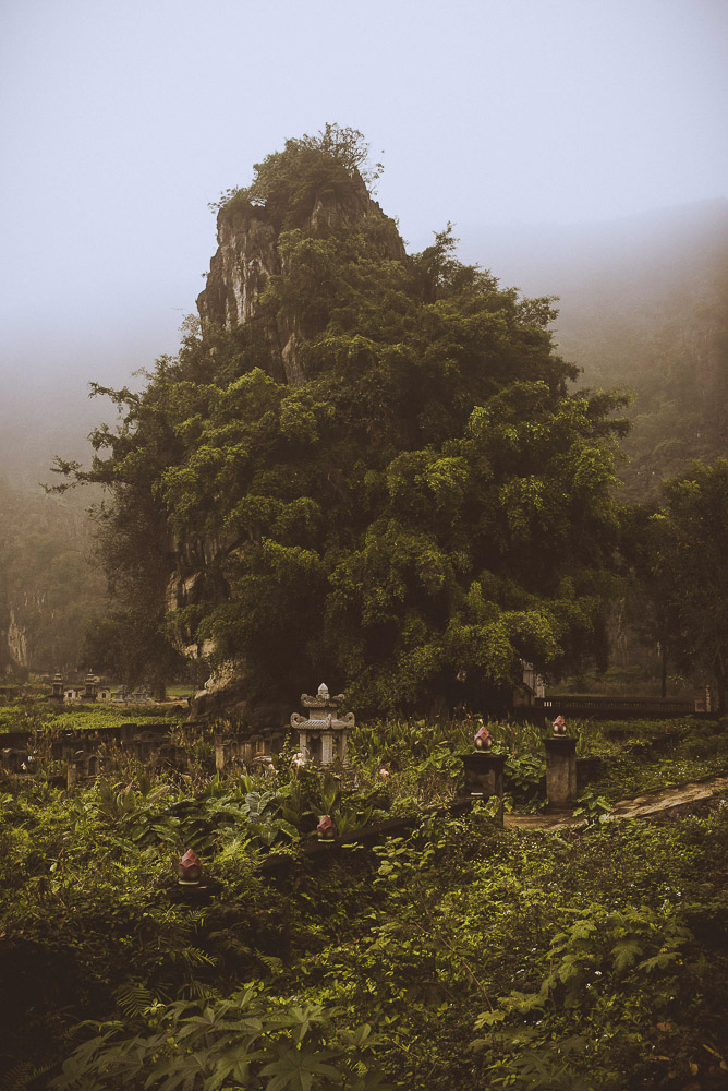Ninh-008