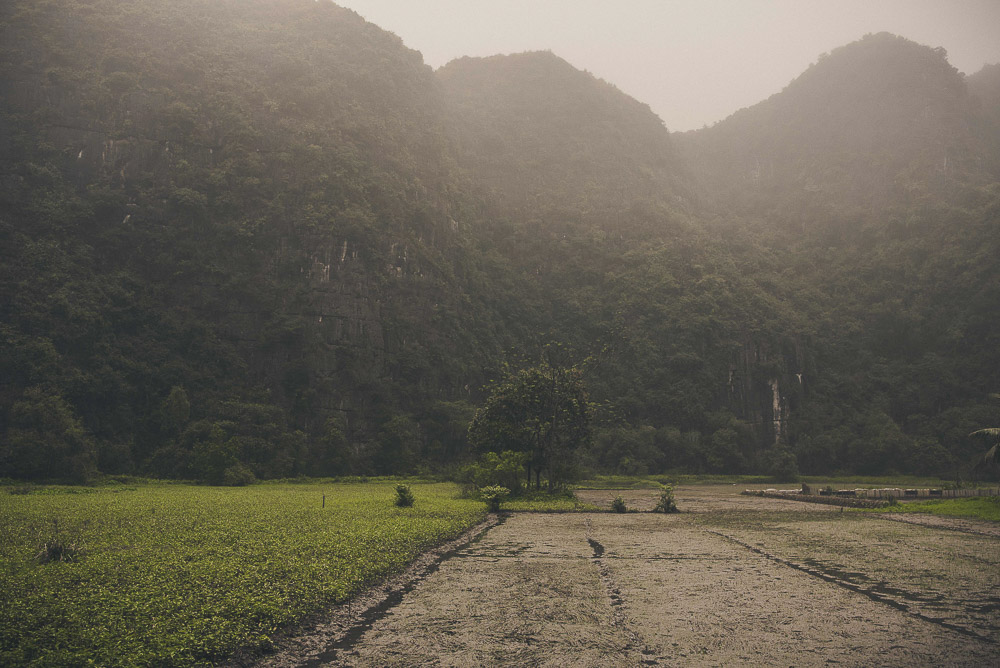 Ninh-018