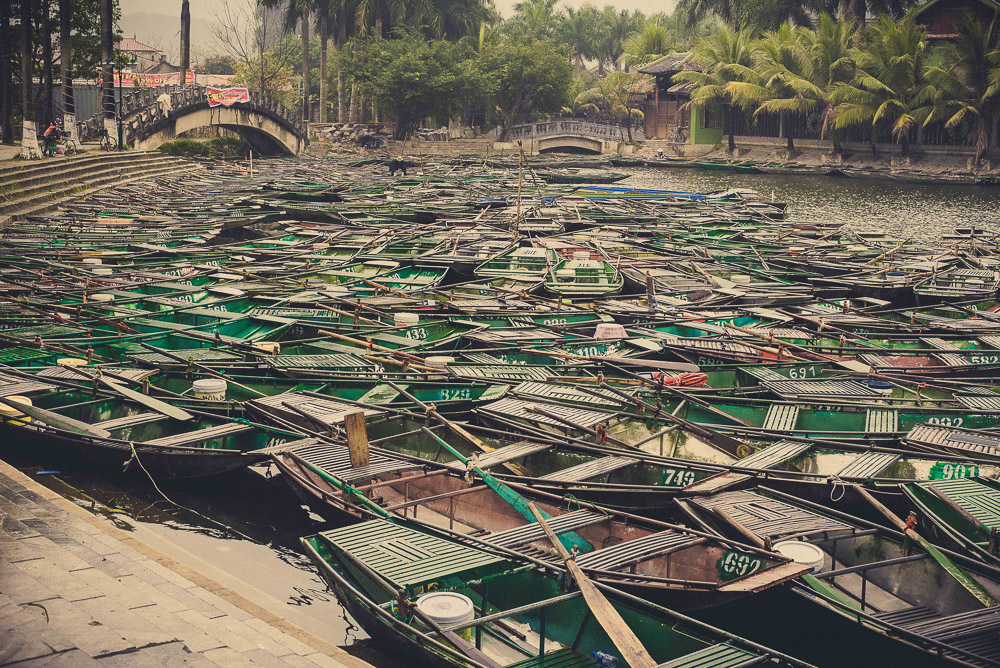 Ninh-029