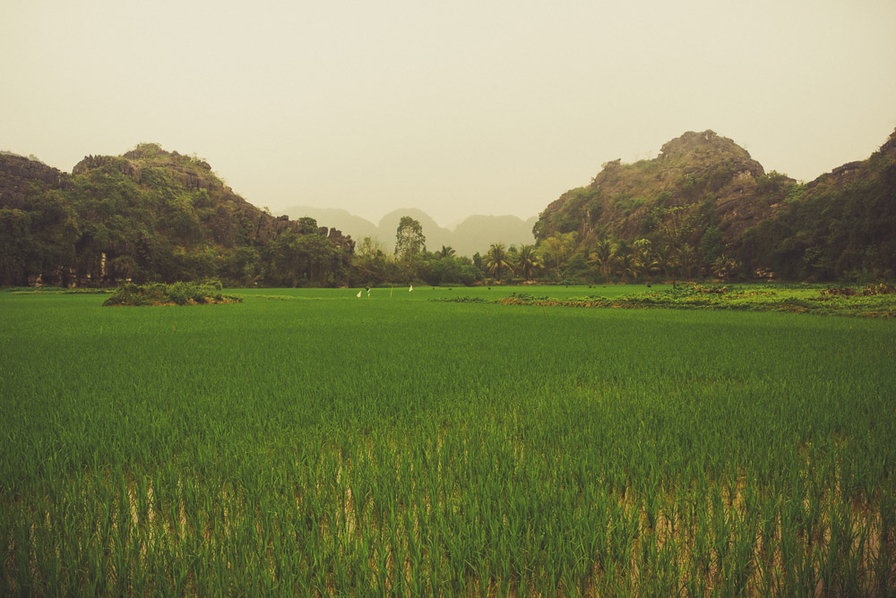 Ninh-046