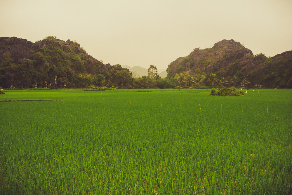 Ninh-048