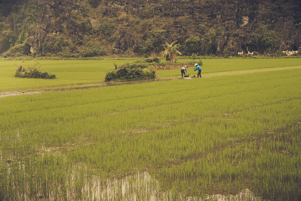 Ninh-050