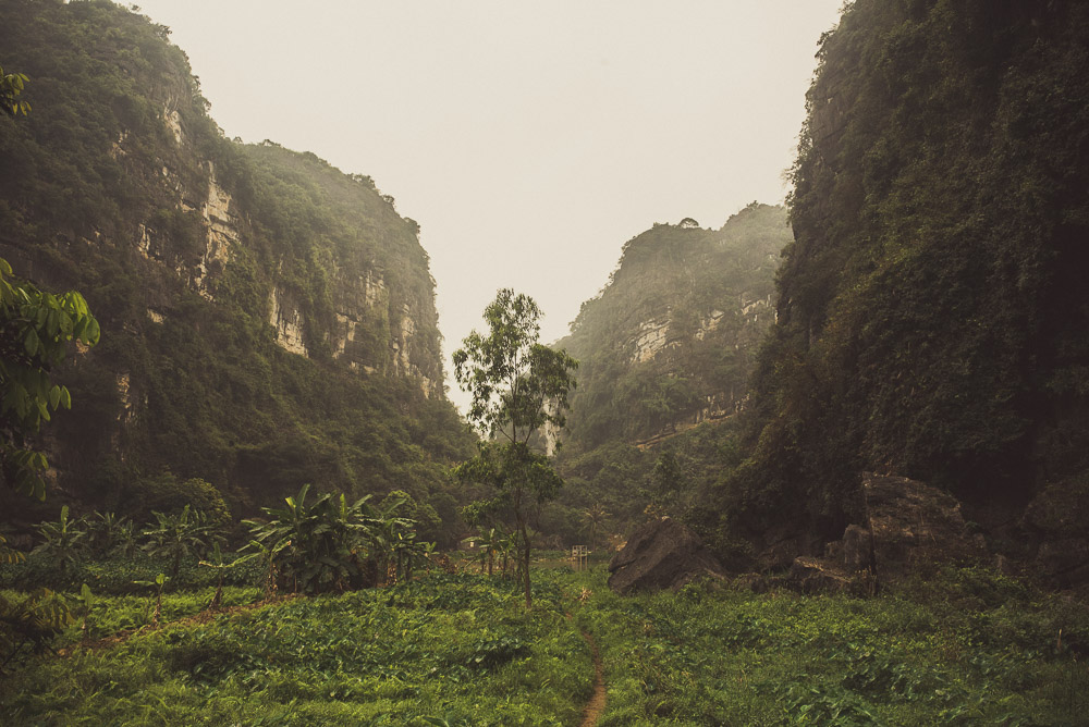 Ninh-051