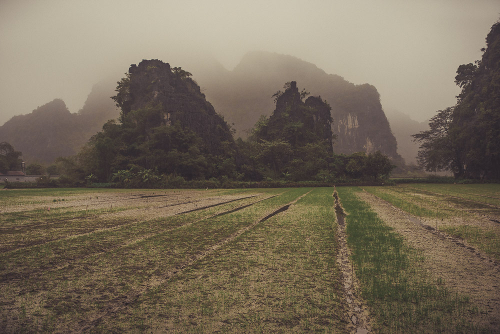 Ninh-056