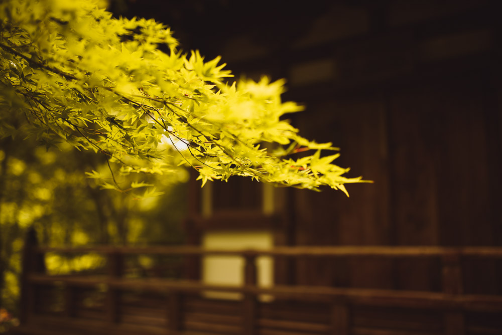 Otagi-012