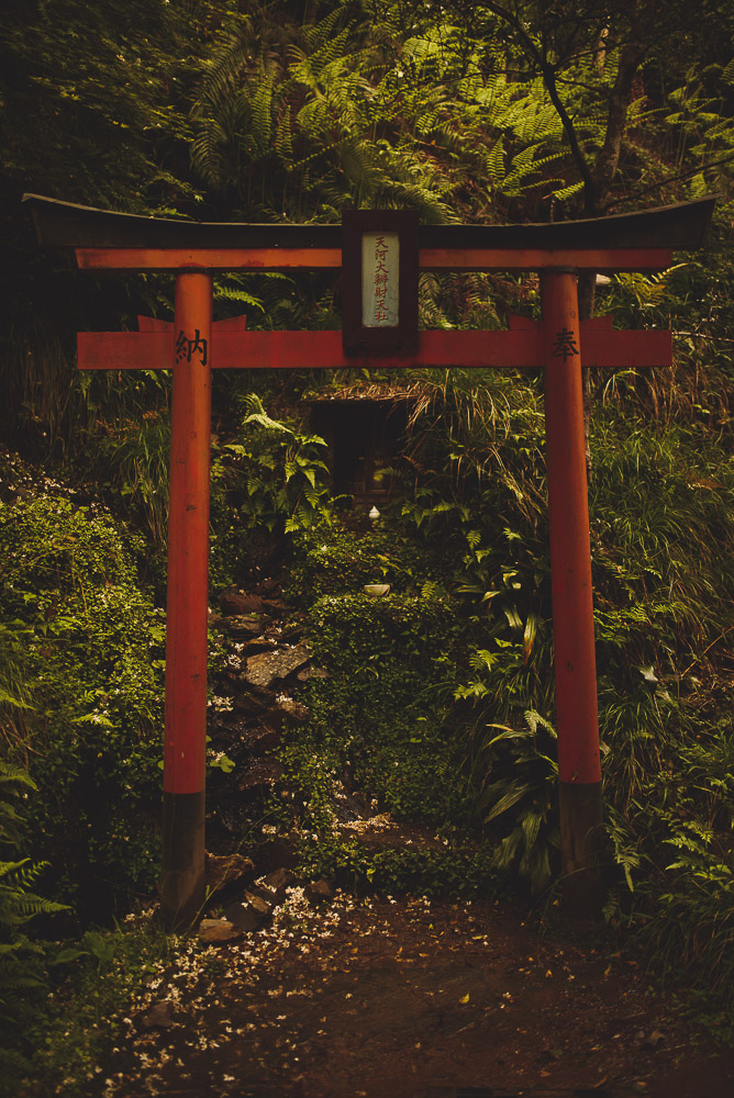Otagi-014