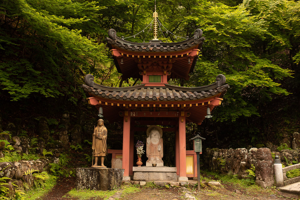 Otagi-015
