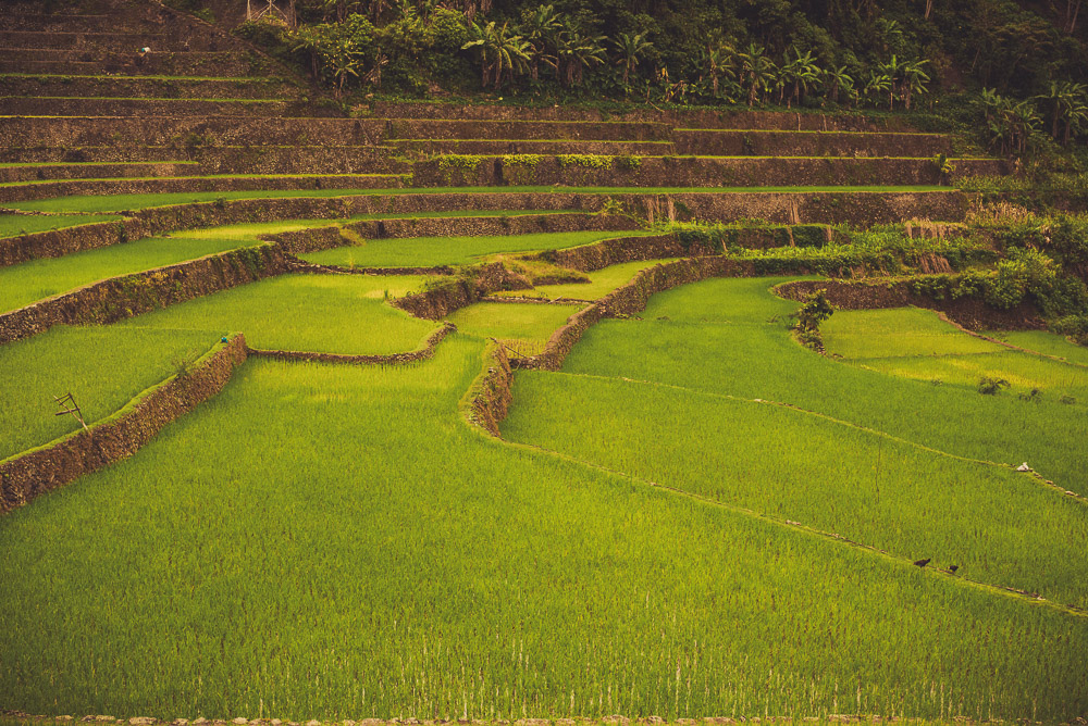 Philippines-033