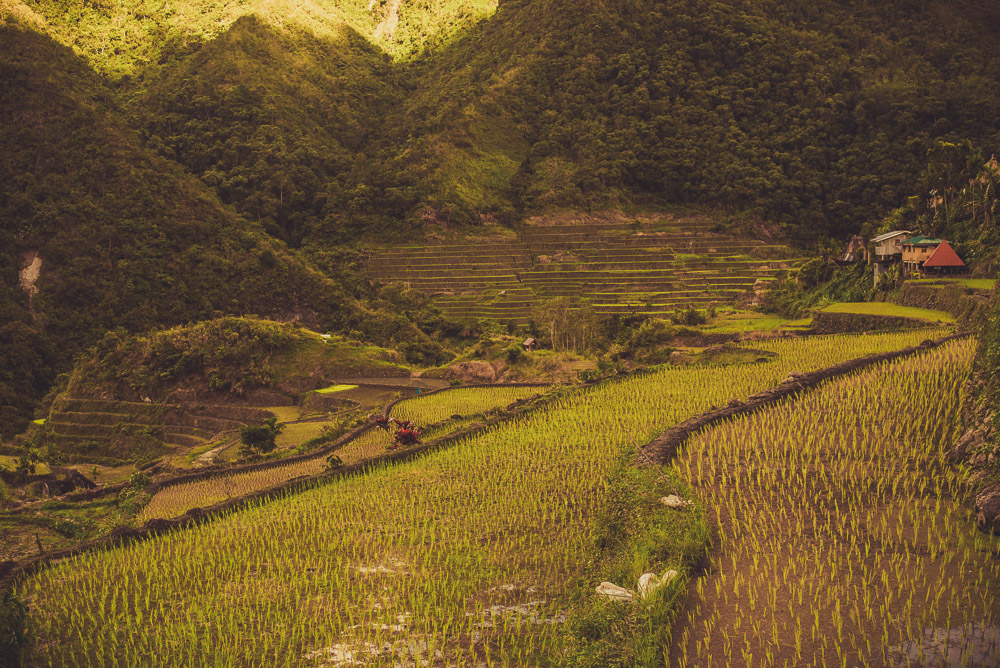 Philippines-042
