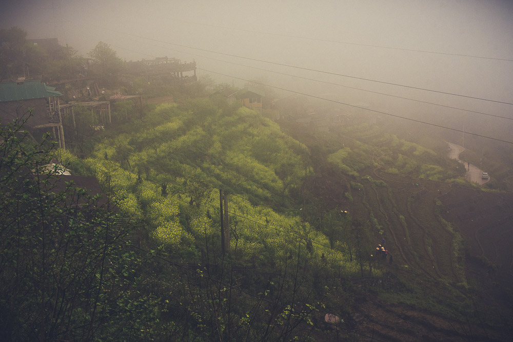 Sapa-005