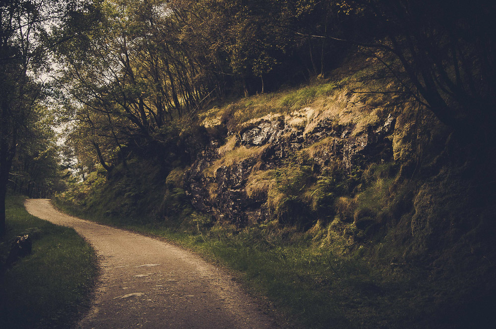 West-Highland-008