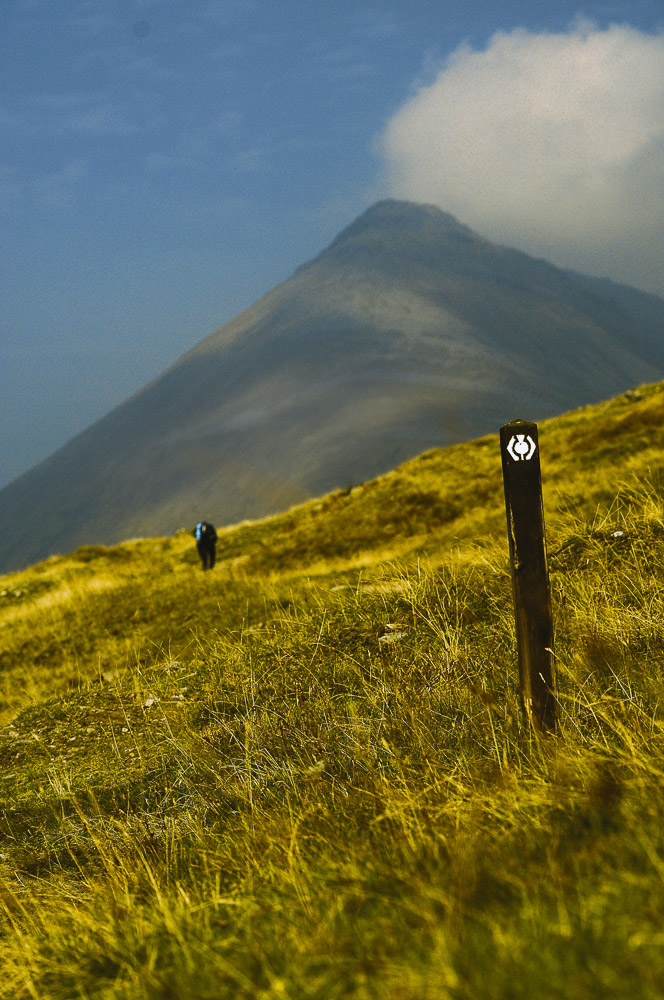 West-Highland-010
