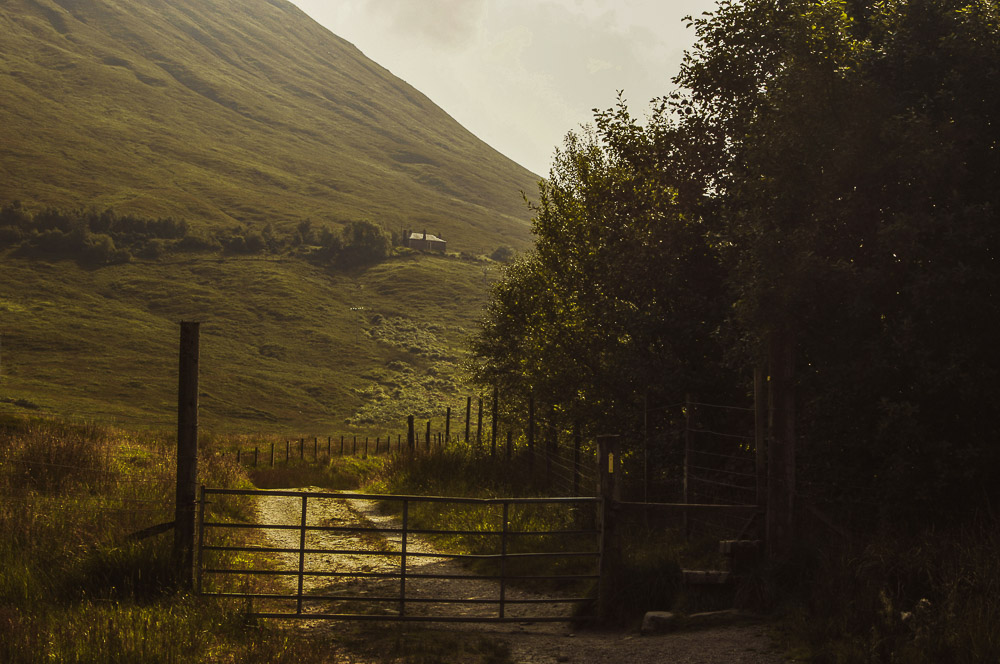 West-Highland-011
