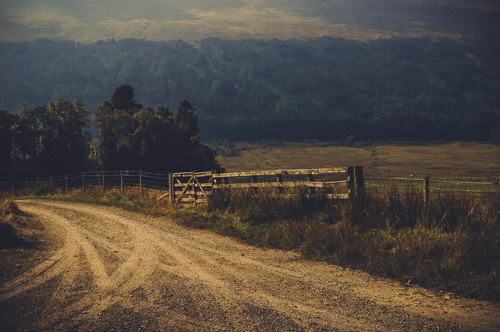 West-Highland-012
