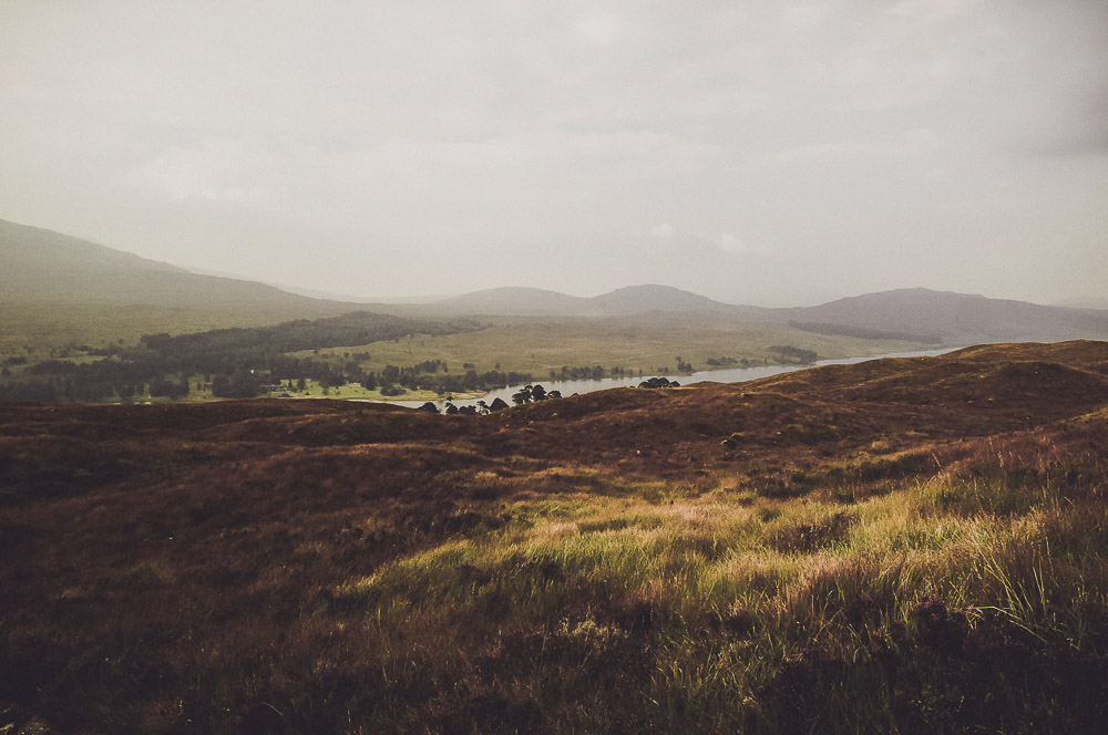 West-Highland-013
