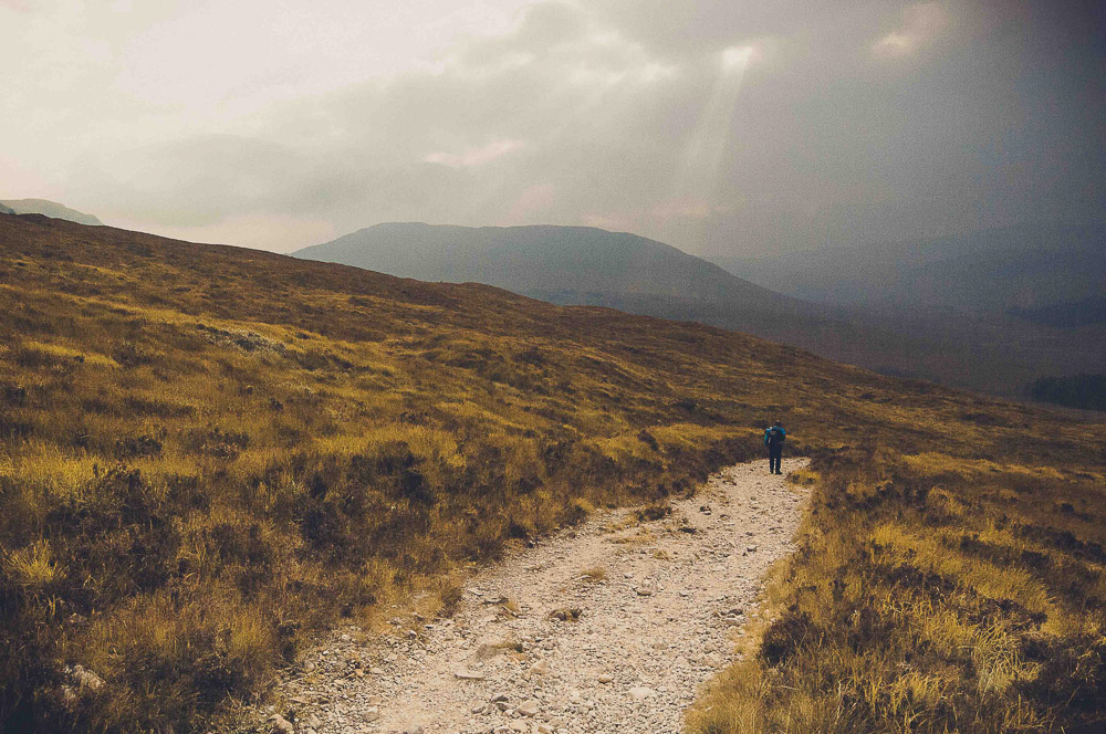 West-Highland-014