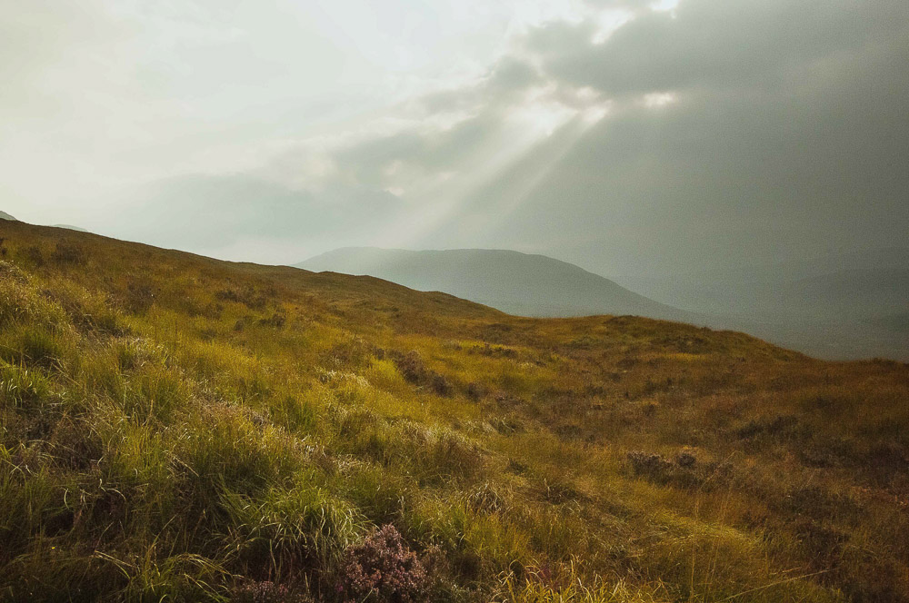 West-Highland-015
