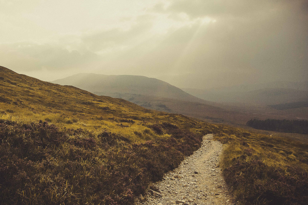 West-Highland-016