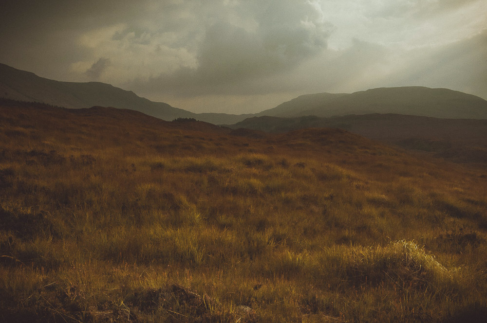 West-Highland-019