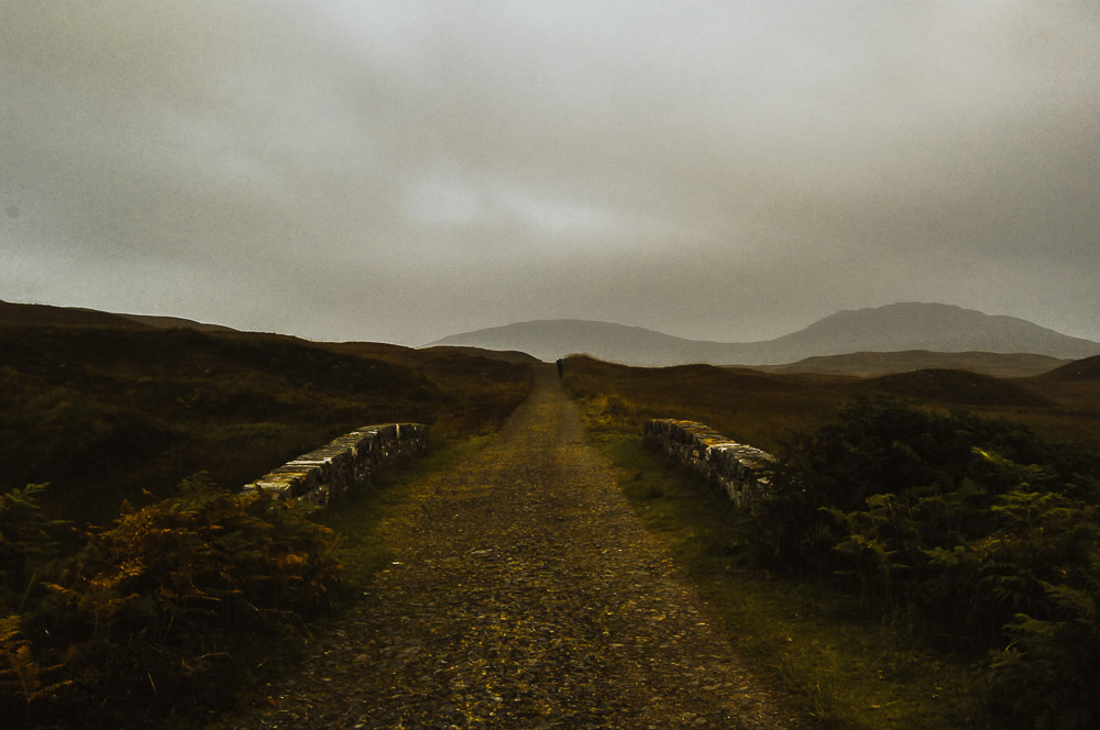 West-Highland-022