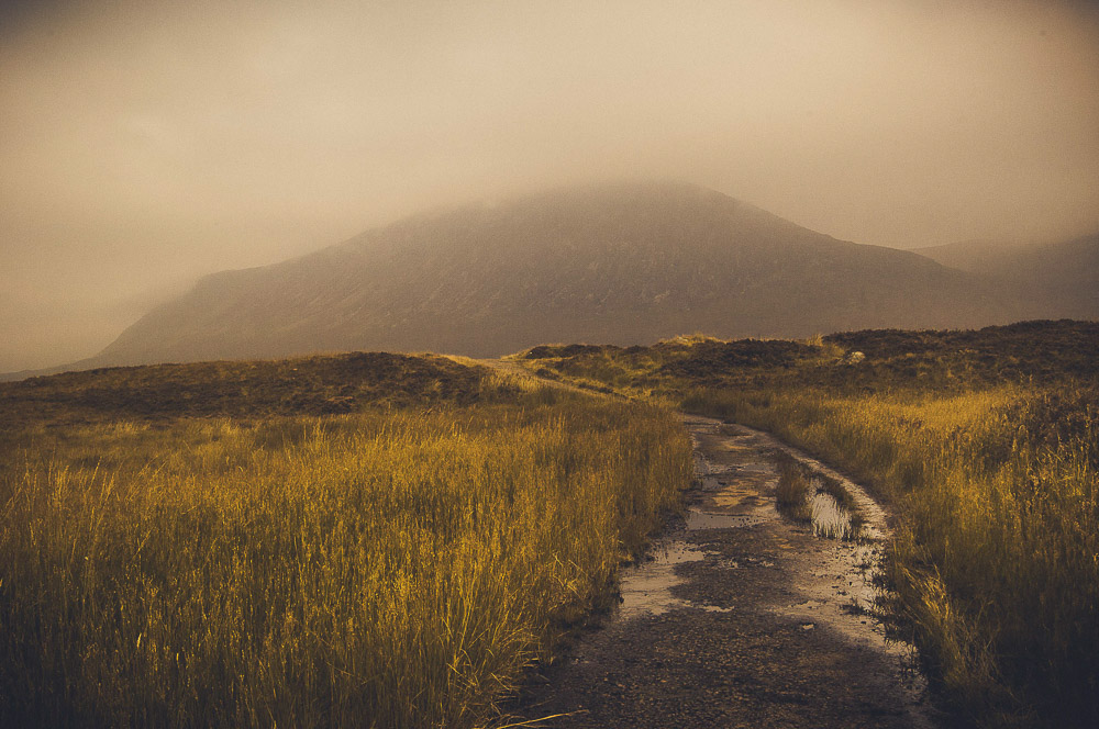 West-Highland-028
