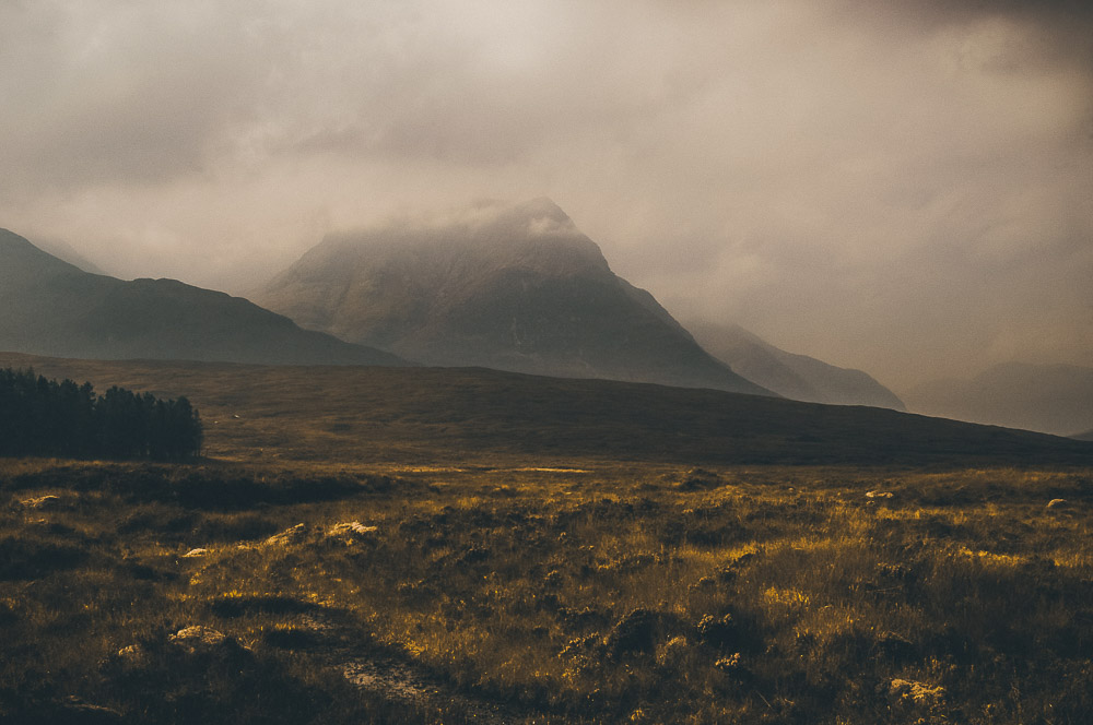West-Highland-029