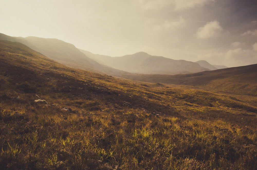 West-Highland-034